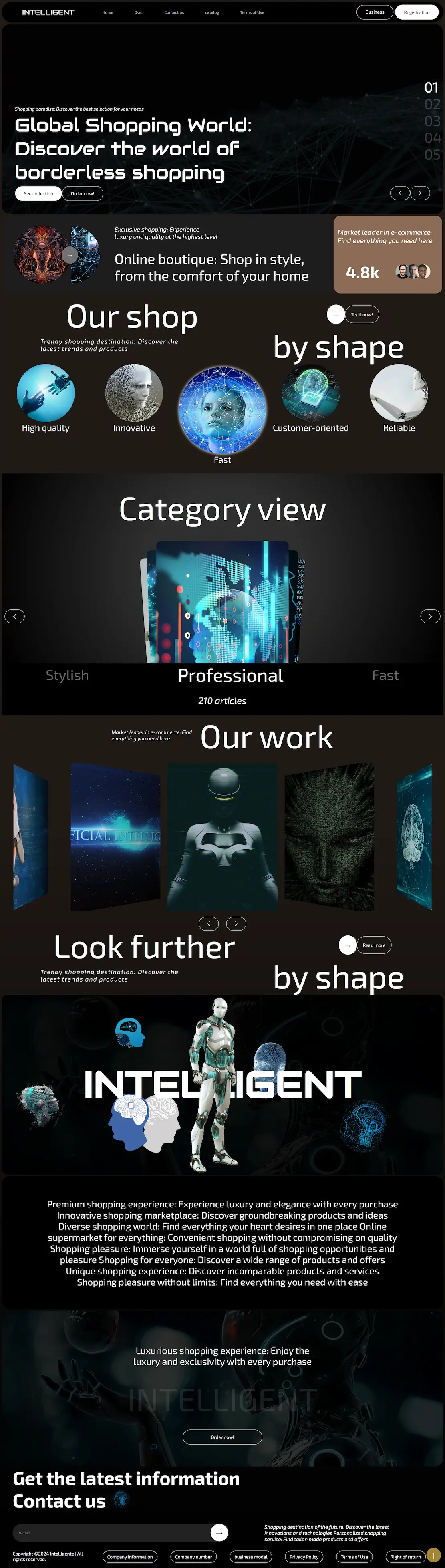 Full redesign project preview