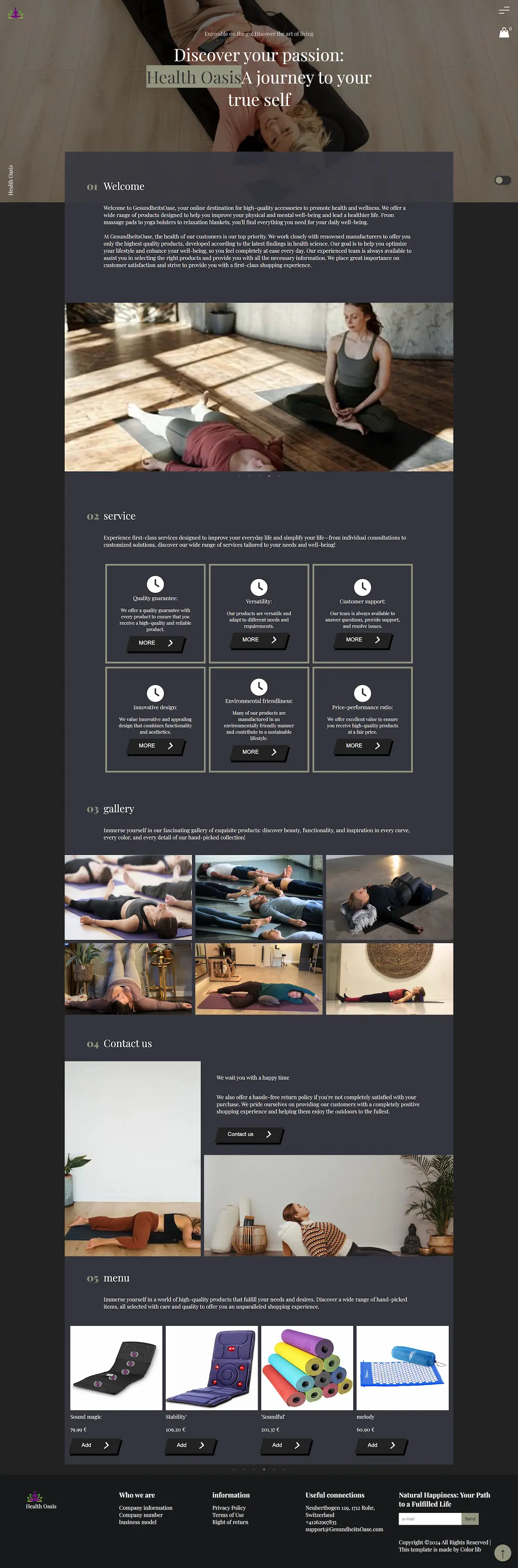 Profile website project preview